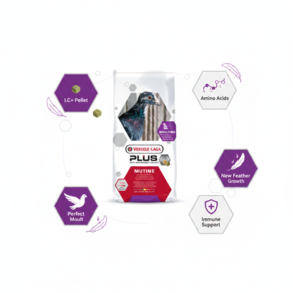 Versele-Laga Mutine Plus I.C.+ Infographic