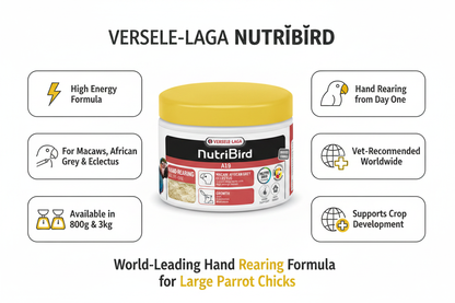 Versele-Laga NutriBird A19 Infographic