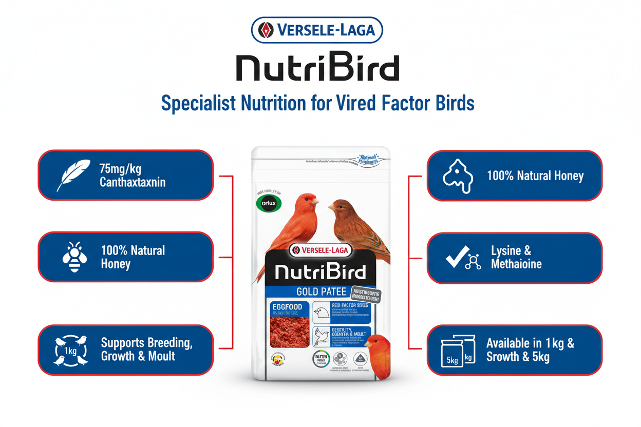 Versele-Laga NutriBird Gold Patee Red Factor Infographic