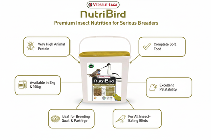 Versele-Laga NutriBird Insect Patee Premium Infographic