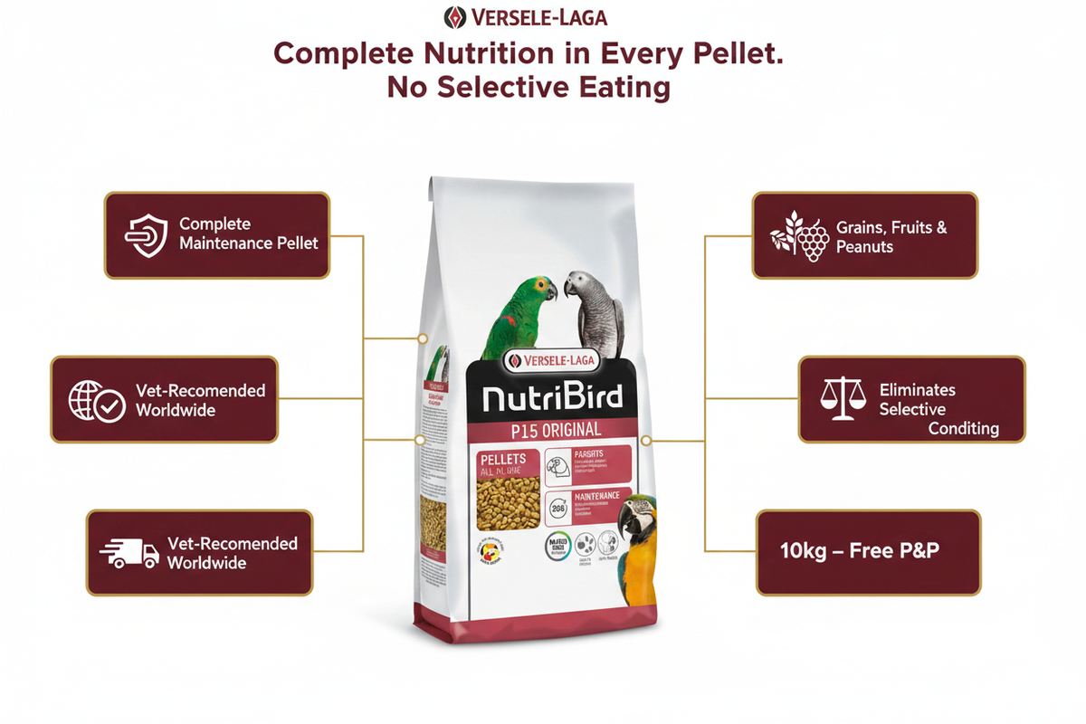 Versele-Laga NutriBird P15 Original Infographic