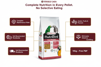 Versele-Laga NutriBird P15 Original Infographic