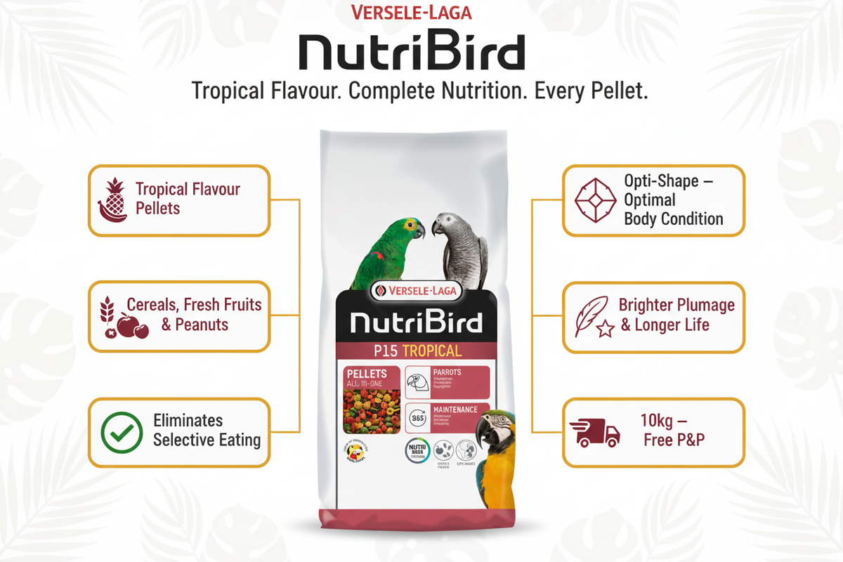 Versele-Laga NutriBird P15 Tropical Infographic