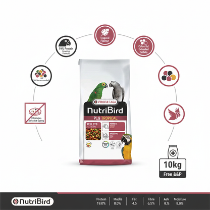 Versele-Laga NutriBird P19 Tropical Infographic