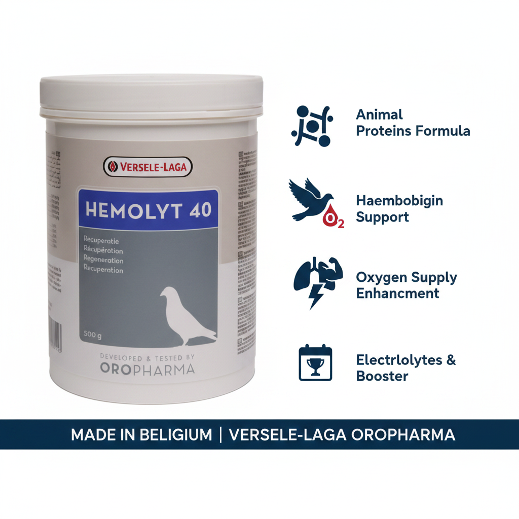 Versele-Laga Oropharma Hemolyt 40 500g Infographic