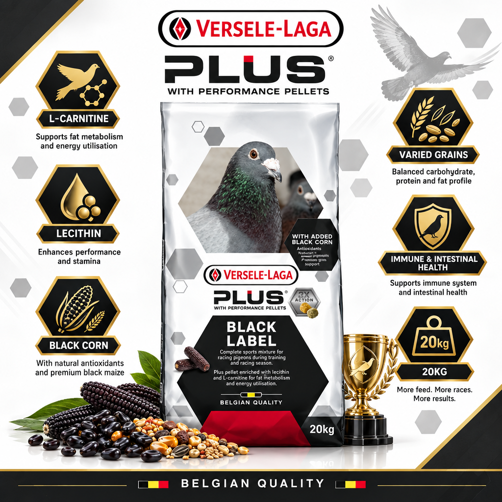 Versele-Laga Plus Black Label Champion 20kg Infographic