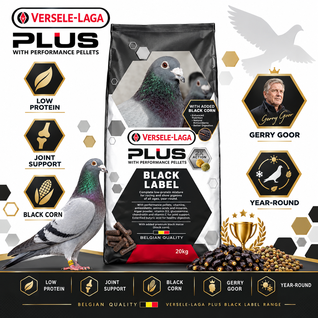 Versele-Laga Plus Black Label Gerry 20kg Infographic