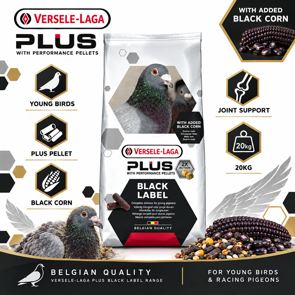 Versele-Laga Plus Black Label Junior 20kg Infographic
