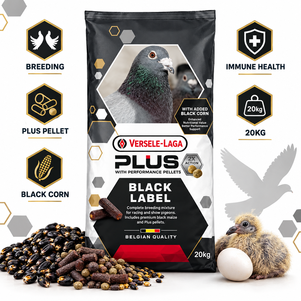 Versele-Laga Plus Black Label Start 20kg Infographic