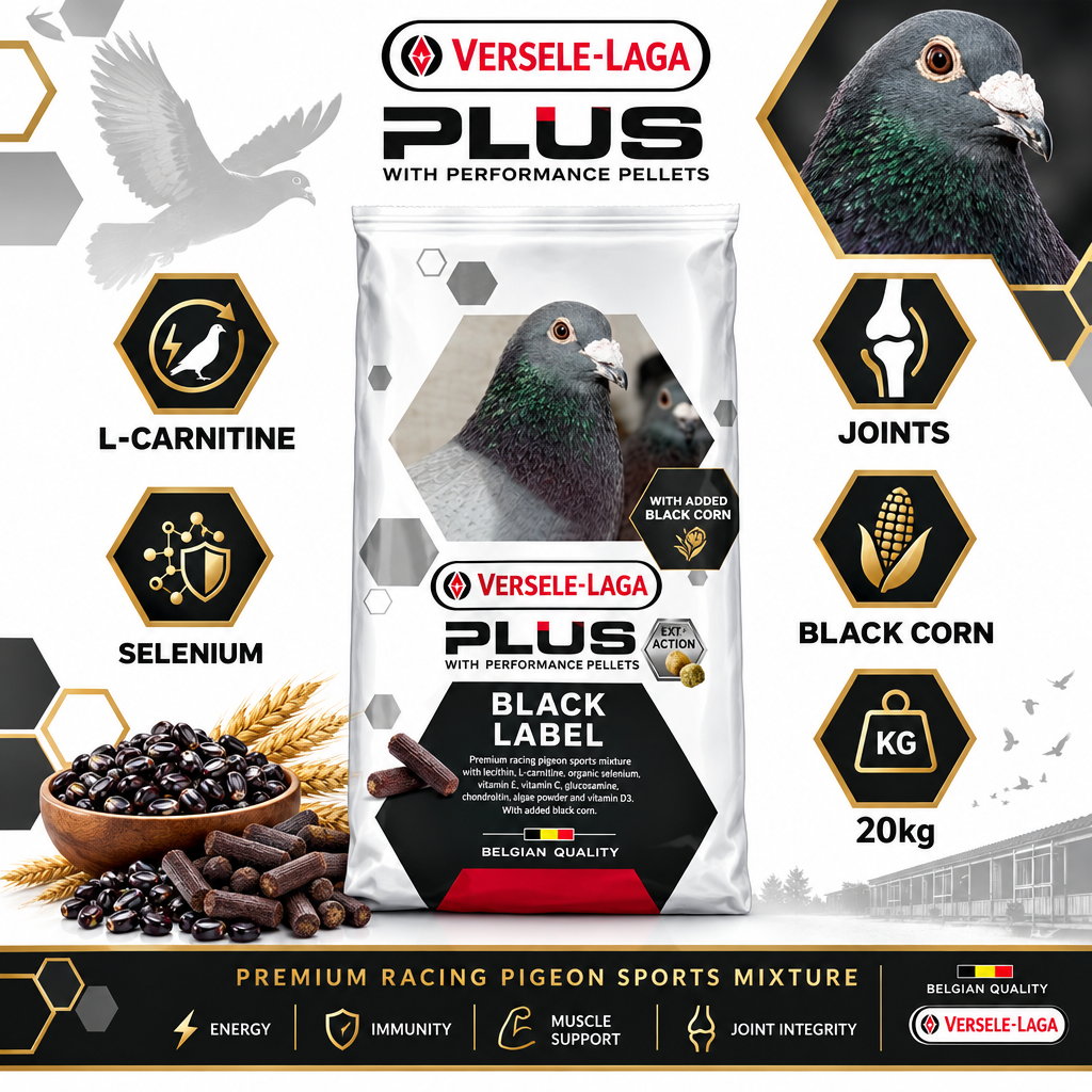 Versele-Laga Plus Black Label Superstar 20kg Infographic