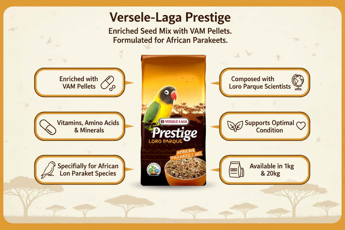 Versele-Laga Prestige African Parakeet Loro Parque Infographic