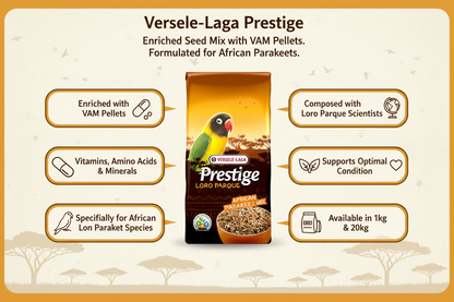 Versele-Laga Prestige African Parakeet Loro Parque Infographic