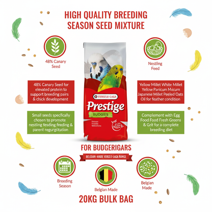 Versele-Laga Prestige Budgies Breeding Infographic