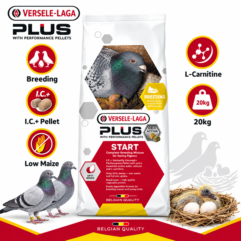 Versele-Laga Start Plus I.C.+ 20kg Infographic