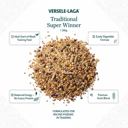 Versele-Laga Traditional Super Winner Infographic