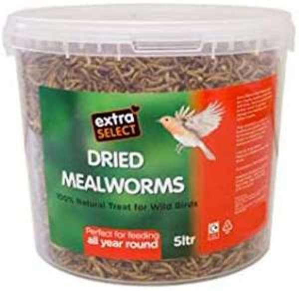 Extra Select Dried Mealworms Wild Bird Feed Treat