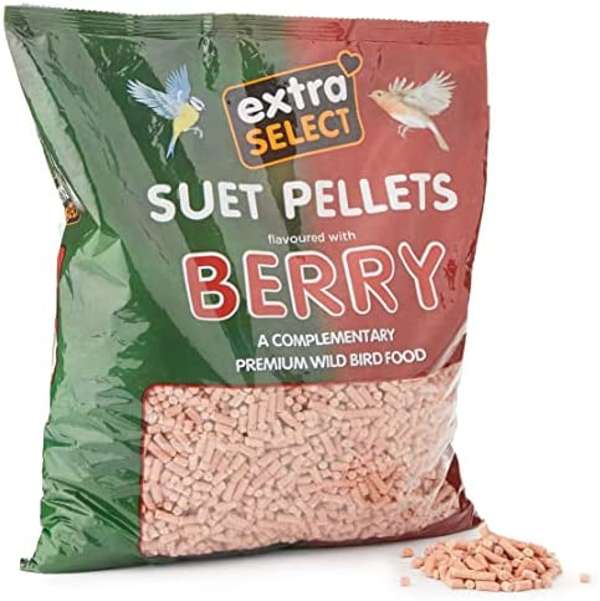 Extra Select Hi Energy Suet Pellets Berry