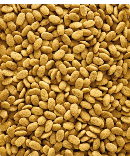 Versele Laga Nutribird P15 Original 10kg