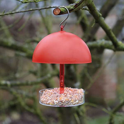 Gardman Robin And Bird Feeder