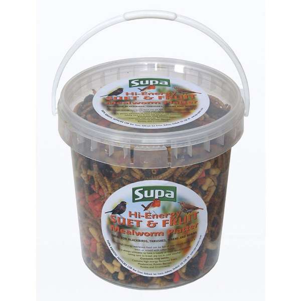 Supa Suet Fruit Mealworm Platter 500ml