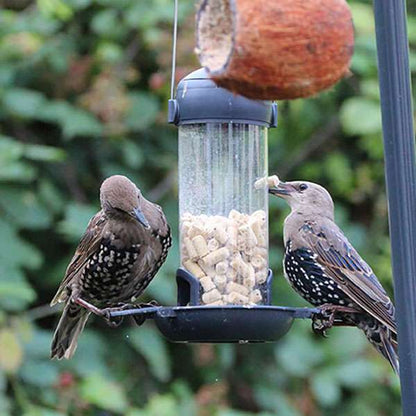 Henry Bell Mealworm Ready To Use Feeder