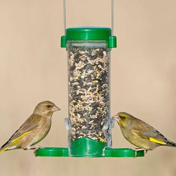 Jacobi Jayne Get Set Go Seed 2 Port 190mm Green