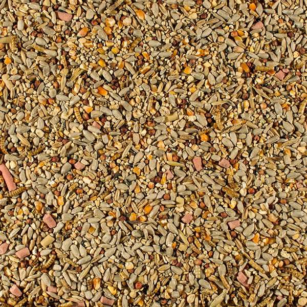 Johnston & Jeff Essential Blend Spring & Summer Wild Bird