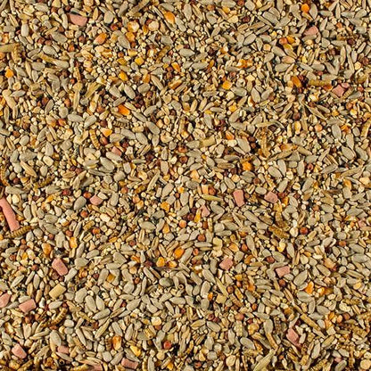 Johnston & Jeff Essential Blend Spring & Summer Wild Bird