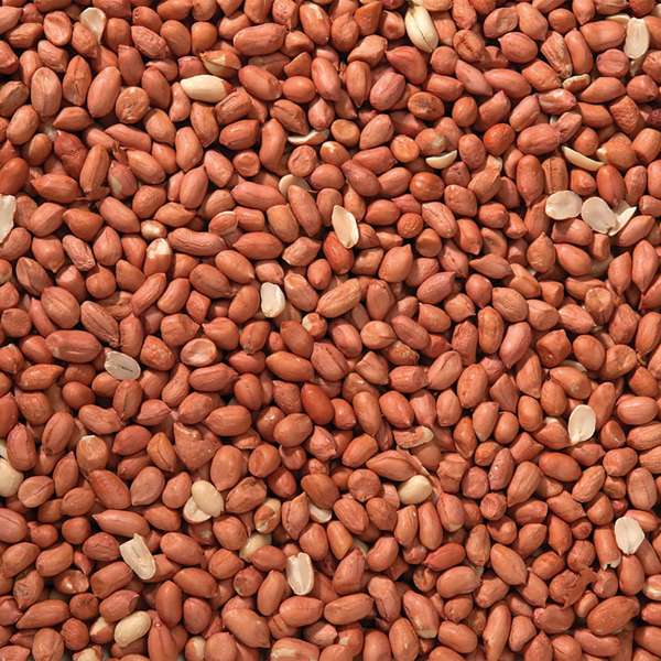Johnston & Jeff Premium Peanuts