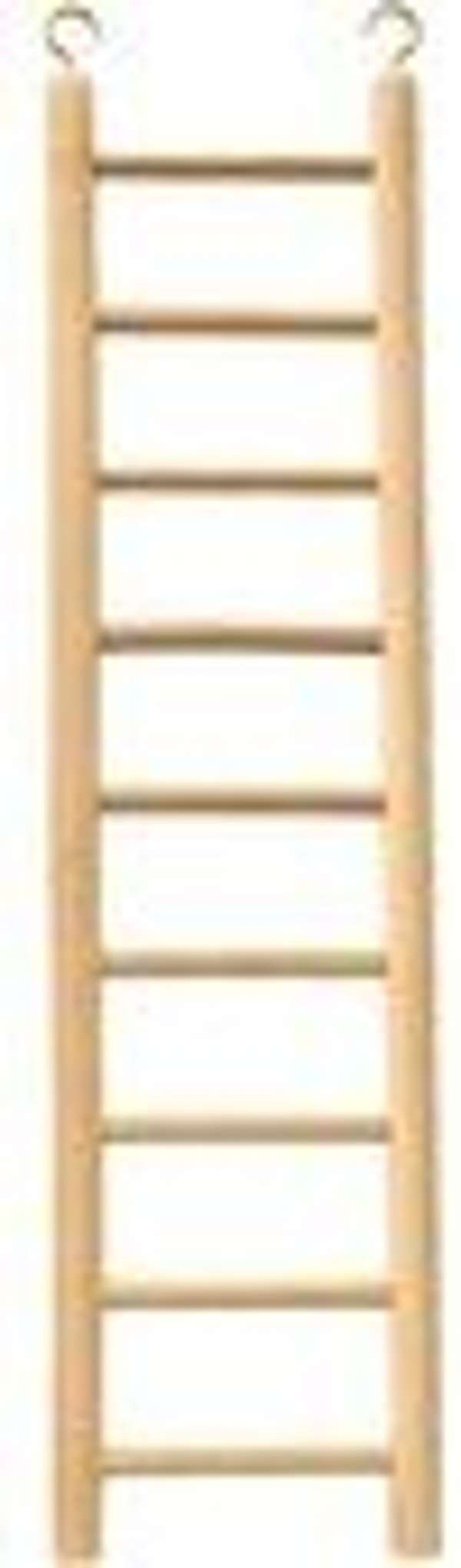 Beaks Wooden Ladder