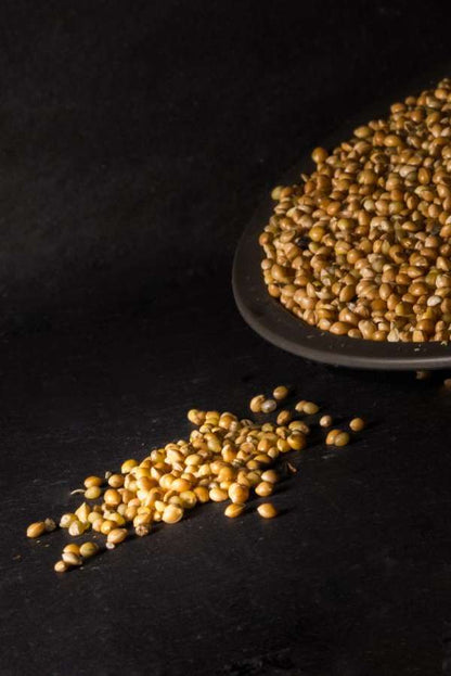 Golden-brown millet seeds spilled on a dark surface next to a dark plate, with more seeds scattered in the foreground on a black background.