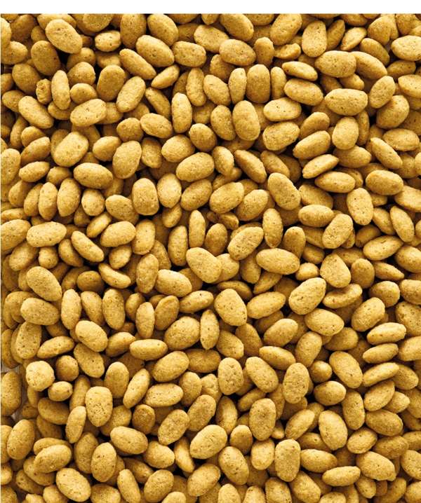 Versele Laga Nutribird P19 Original 10kg
