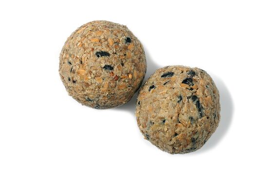 Erdtmanns Small Fat Balls With No Nets